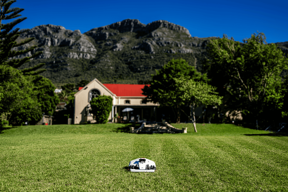 Mammotion robotic lawn mower for large lawns cutting grass