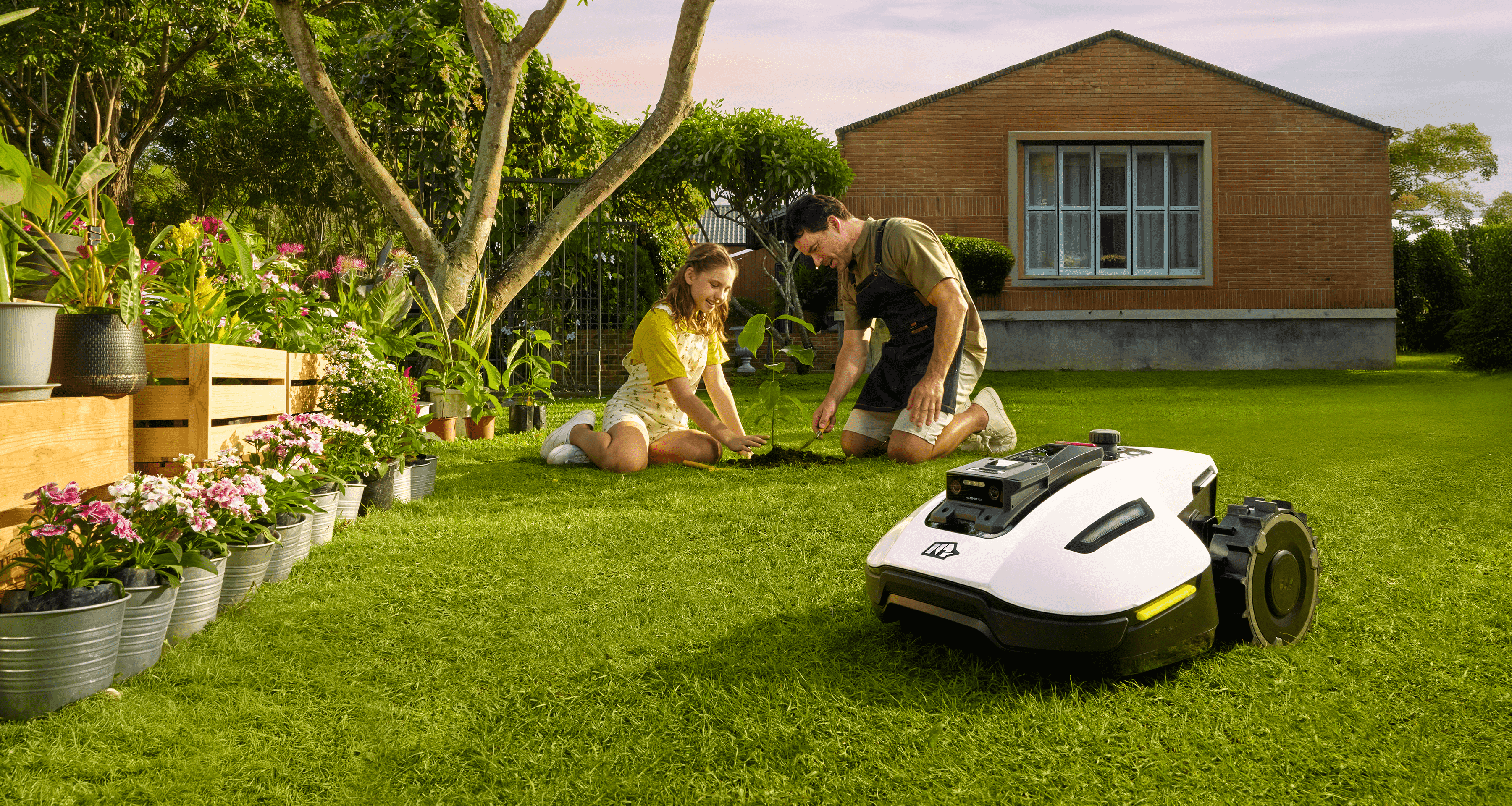 Mammotion YUKA miniatrure robot lawnmower working