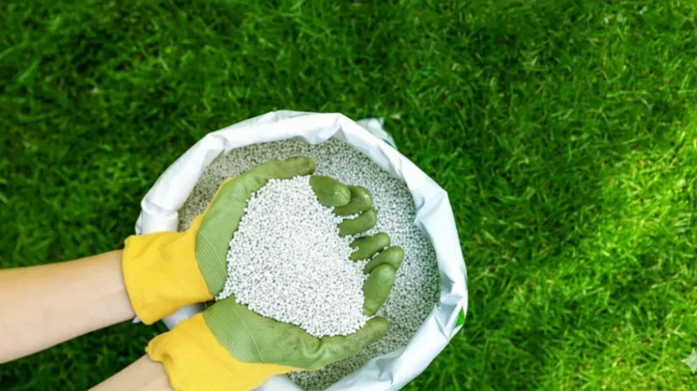  fertilizer