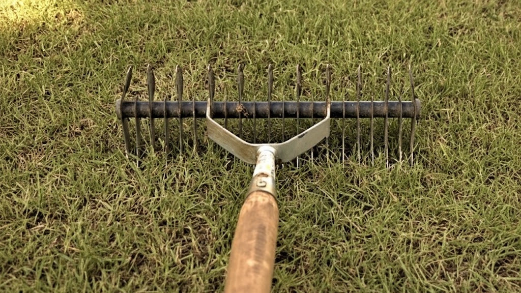 scarifying Lawn