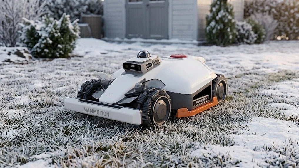 Winter Storage